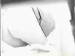 Wonderful hidden cam scene. You will like it. Great dump!