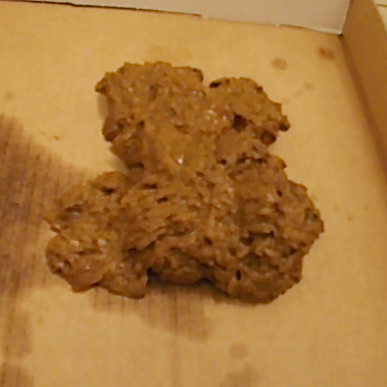 Big+Poop+in+Toilet TheNewGirlsPooping.Com A girl takes a shit into a plastic container ...