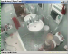 A low-resolution security type camera records a woman shitting on the toilet. No audio.