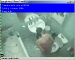 A low-resolution security type camera records a woman shitting on the toilet. No audio.