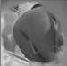 A hidden camera in a hole in the wall records a voluptuous blonde woman pooping while sitting on a toilet in this voyeuristic style video. Full audio included!