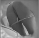 A hidden camera in a hole in the wall records a voluptuous blonde woman pooping while sitting on a toilet in this voyeuristic style video. Full audio included!